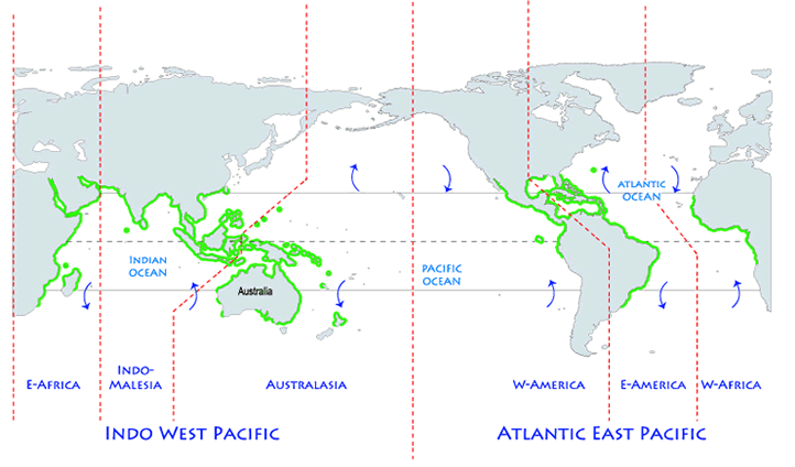 mangrove-coverage-world-map